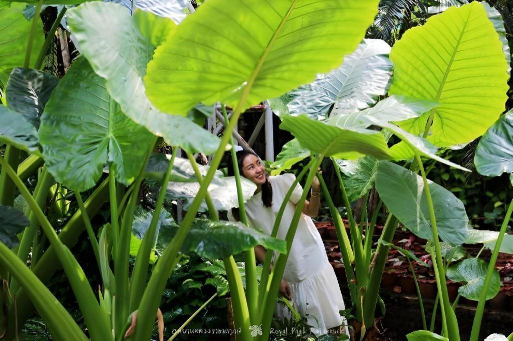 Rajapruek Place Chiang Mai Buitenkant foto